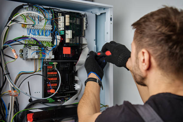 Licensed Electrical Panel Upgrade service in Hastings, MI - No Joke electrician